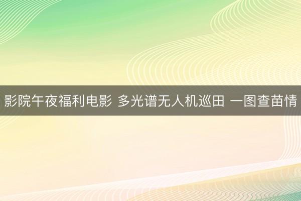 影院午夜福利电影 多光谱无人机巡田 一图查苗情