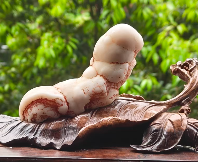 【中华名石典藏】天工造物：亿万年磨砺出的石上春蚕·中国名石经典作品