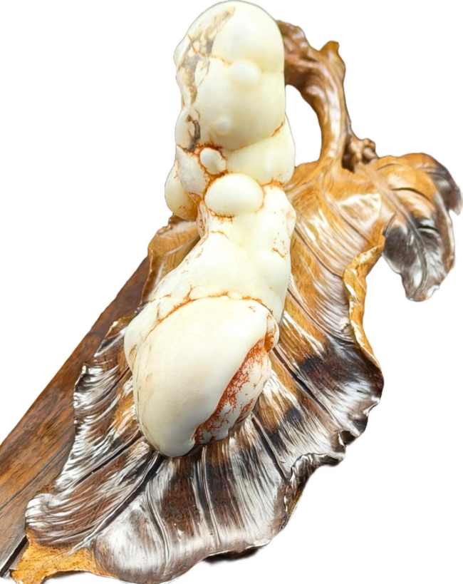 【中华名石典藏】天工造物：亿万年磨砺出的石上春蚕·中国名石经典作品