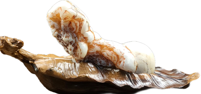 【中华名石典藏】天工造物：亿万年磨砺出的石上春蚕·中国名石经典作品