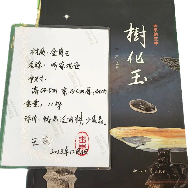 【中华名石典藏】听海观音（树化玉·植物舍利子宝石）