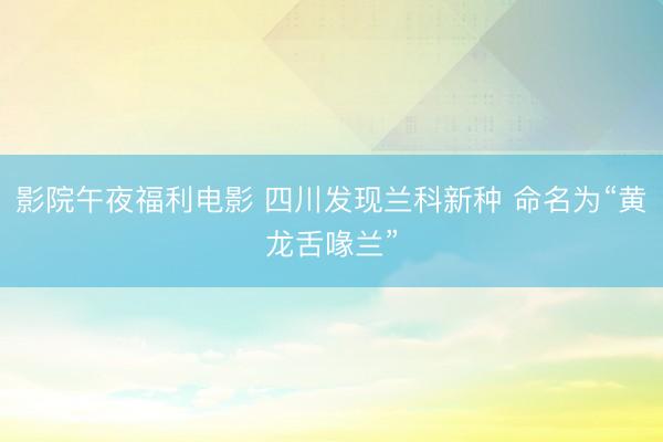 影院午夜福利电影 四川发现兰科新种 命名为“黄龙舌喙兰”