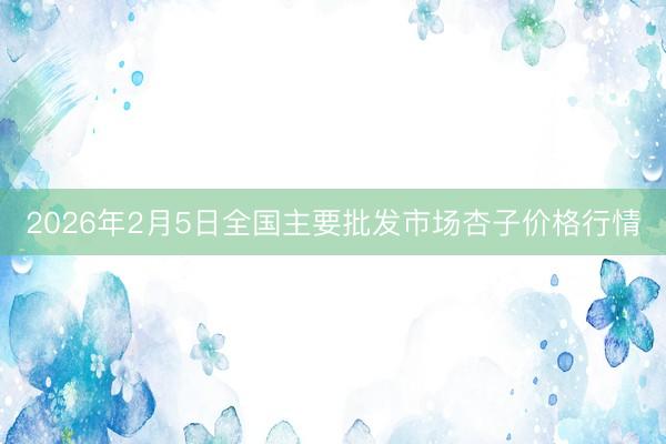 2026年2月5日全国主要批发市场杏子价格行情