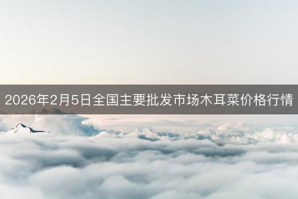 2026年2月5日全国主要批发市场木耳菜价格行情