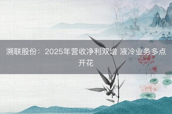 溯联股份：2025年营收净利双增 液冷业务多点开花