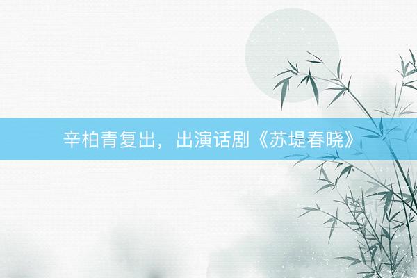 辛柏青复出，出演话剧《苏堤春晓》