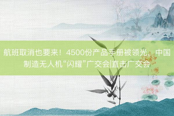 航班取消也要来！4500份产品手册被领光，中国制造无人机“闪耀”广交会|直击广交会