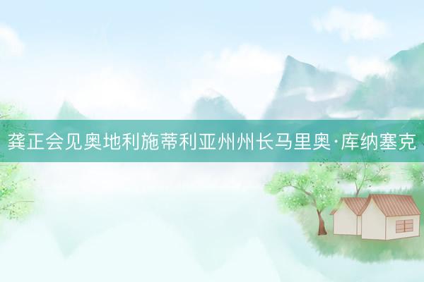 龚正会见奥地利施蒂利亚州州长马里奥·库纳塞克