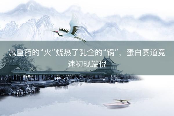 减重药的“火”烧热了乳企的“锅”，蛋白赛道竞速初现端倪