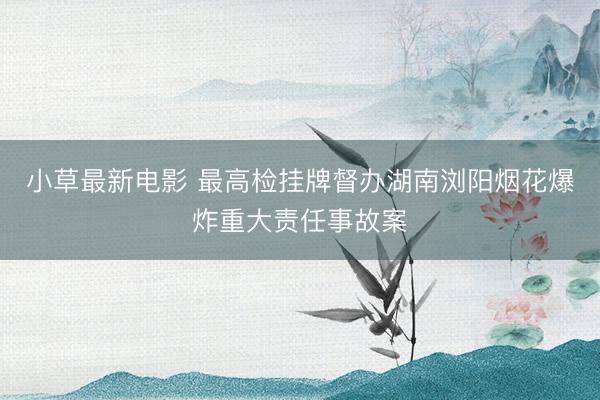 小草最新电影 最高检挂牌督办湖南浏阳烟花爆炸重大责任事故案