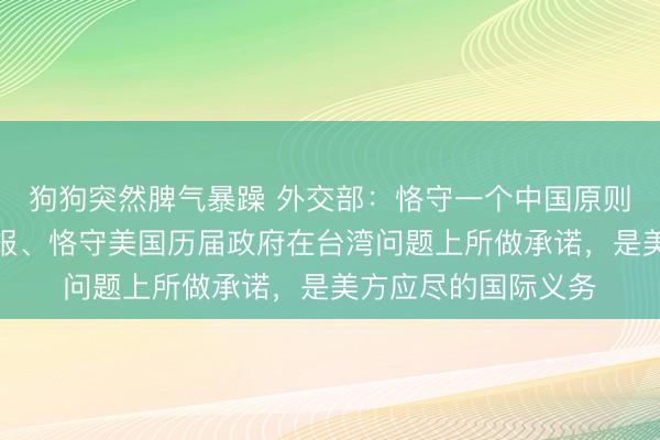 狗狗突然脾气暴躁 外交部：恪守一个中国原则和中美三个联合公报、恪守美国历届政府在台湾问题上所做承诺，是美方应尽的国际义务