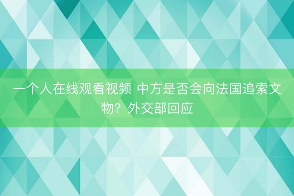 一个人在线观看视频 中方是否会向法国追索文物?外交部回应