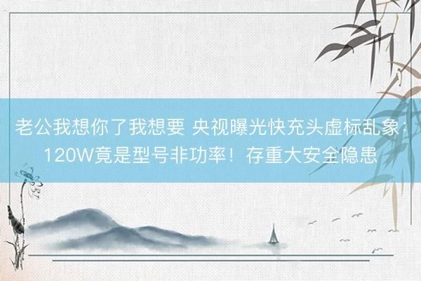 老公我想你了我想要 央视曝光快充头虚标乱象：120W竟是型号非功率！存重大安全隐患