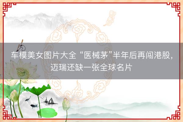 车模美女图片大全 “医械茅”半年后再闯港股，迈瑞还缺一张全球名片