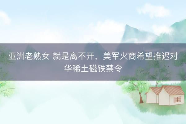 亚洲老熟女 就是离不开，美军火商希望推迟对华稀土磁铁禁令