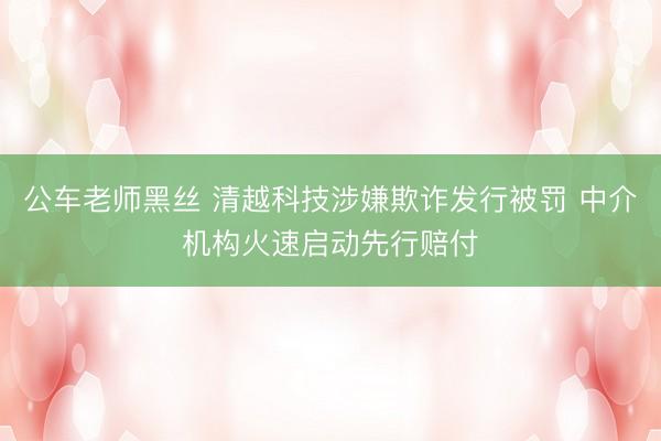 公车老师黑丝 清越科技涉嫌欺诈发行被罚 中介机构火速启动先行赔付