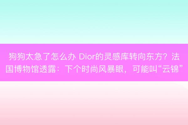 狗狗太急了怎么办 Dior的灵感库转向东方？法国博物馆透露：下个时尚风暴眼，可能叫“云锦”