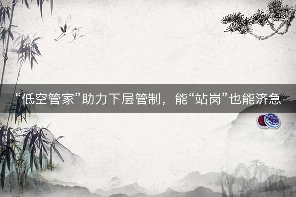 “低空管家”助力下层管制，能“站岗”也能济急