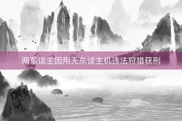 两东谈主因用无东谈主机违法狩猎获刑