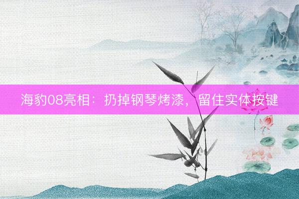 海豹08亮相：扔掉钢琴烤漆，留住实体按键