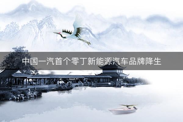 中国一汽首个零丁新能源汽车品牌降生