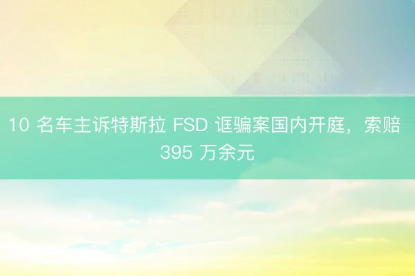 10 名车主诉特斯拉 FSD 诓骗案国内开庭，索赔 395 万余元