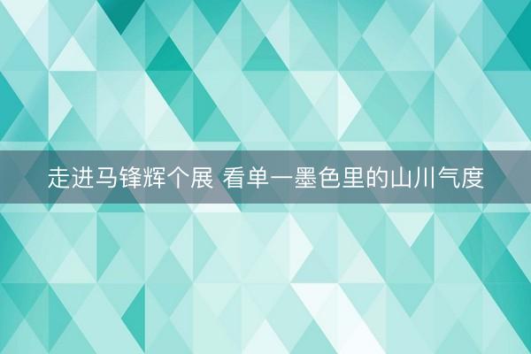 走进马锋辉个展 看单一墨色里的山川气度