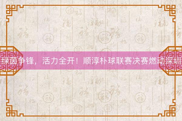 绿茵争锋，活力全开！顺淳朴球联赛决赛燃动深圳
