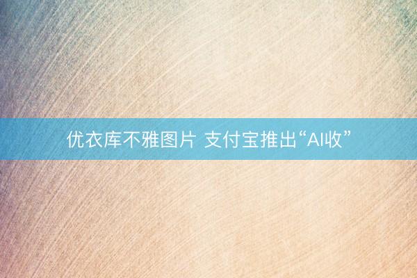 优衣库不雅图片 支付宝推出“AI收”