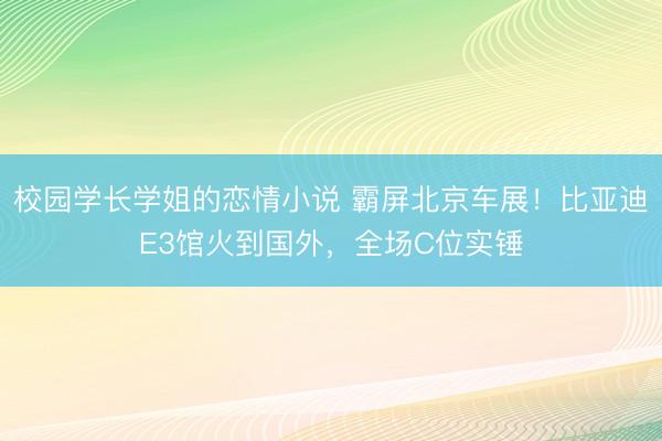 校园学长学姐的恋情小说 霸屏北京车展！比亚迪E3馆火到国外，全场C位实锤