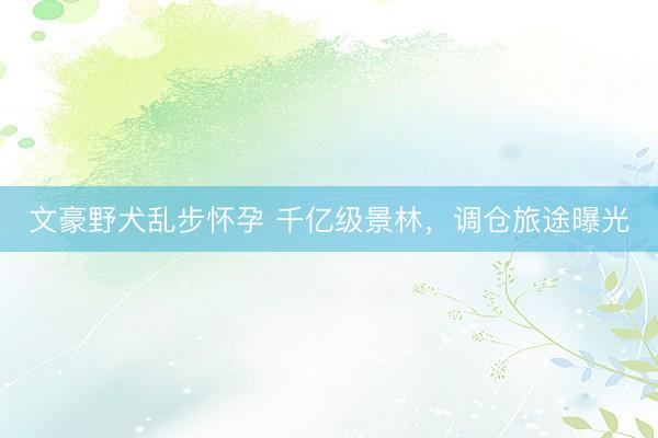 文豪野犬乱步怀孕 千亿级景林，调仓旅途曝光
