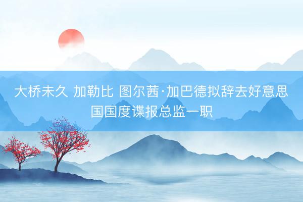 大桥未久 加勒比 图尔茜·加巴德拟辞去好意思国国度谍报总监一职