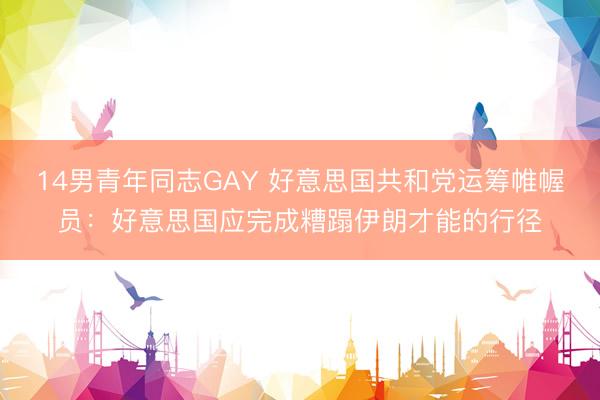 14男青年同志GAY 好意思国共和党运筹帷幄员：好意思国应完成糟蹋伊朗才能的行径