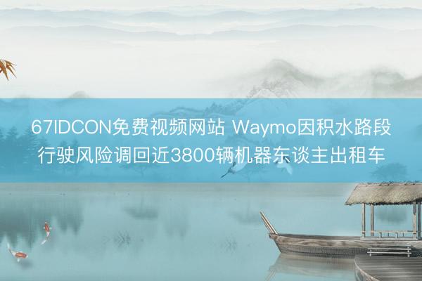 67IDCON免费视频网站 Waymo因积水路段行驶风险调回近3800辆机器东谈主出租车