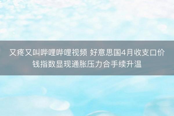 又疼又叫哔哩哔哩视频 好意思国4月收支口价钱指数显现通胀压力合手续升温