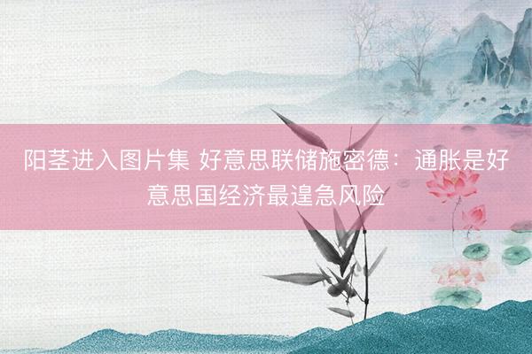 阳茎进入图片集 好意思联储施密德：通胀是好意思国经济最遑急风险