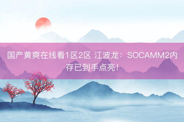 国产黄爽在线看1区2区 江波龙：SOCAMM2内存已到手点亮！