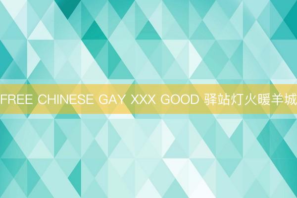 FREE CHINESE GAY XXX GOOD 驿站灯火暖羊城