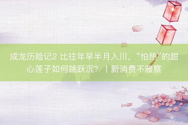 成龙历险记2 比往年早半月入川，“怕热”的甜心莲子如何跳跃沉？丨新消费不雅察