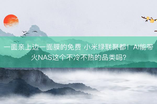 一面亲上边一面膜的免费 小米绿联聚都！AI能带火NAS这个不冷不热的品类吗？
