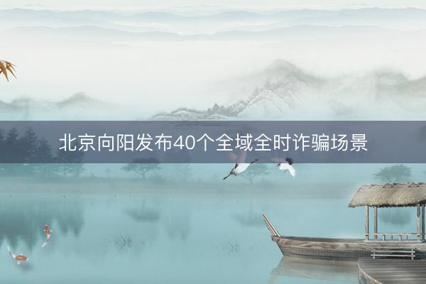 北京向阳发布40个全域全时诈骗场景
