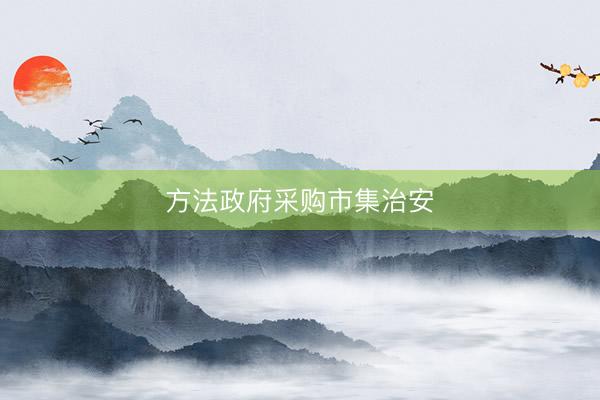 方法政府采购市集治安