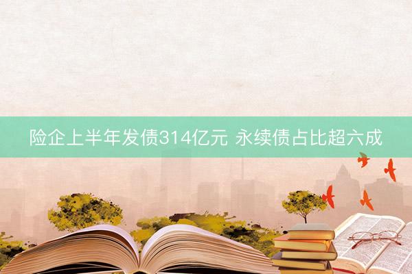 险企上半年发债314亿元 永续债占比超六成