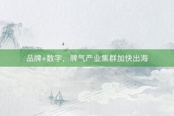 品牌+数字，脾气产业集群加快出海